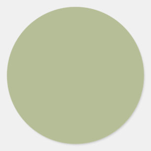 Dusty Sage Green Solid Colour Classic Round Sticker