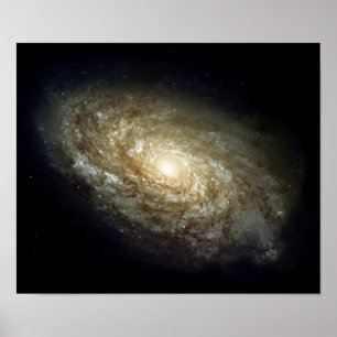 Dusty Spiral Galaxy Poster