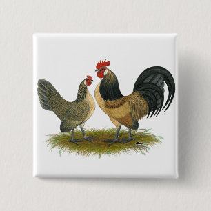 Dutch Bantam: Blue Quail 15 Cm Square Badge
