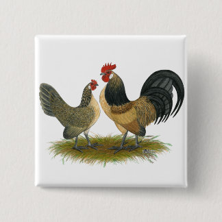 Dutch Bantam: Blue Quail 15 Cm Square Badge