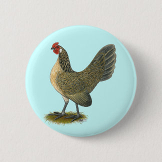 Dutch Bantam: Blue Quail Hen 6 Cm Round Badge