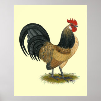 Dutch Bantam: Blue Quail Rooster Poster