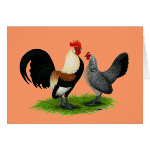 Dutch Bantams: Cream Light Brown