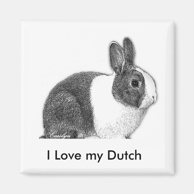 Dutch bunny pencil drawing magnet (Front)