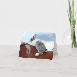 Dutch bunny rabbit riding horse notecard
