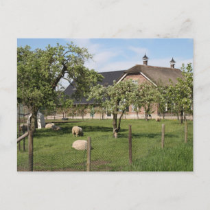Dutch farm postcard