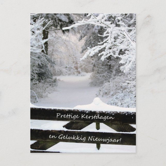 Dutch Fence in snow Merry X-mas & Happy New Year Holiday Postcard (Front)