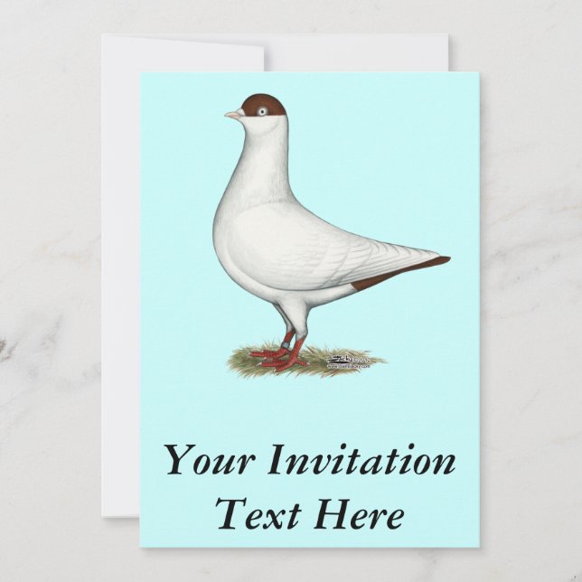 Dutch Helmet Pigeon Invitation (Front)