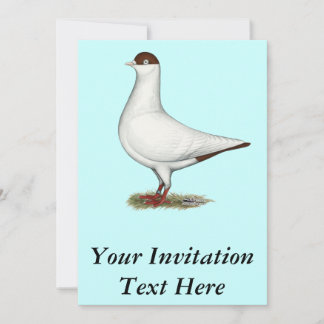 Dutch Helmet Pigeon Invitation