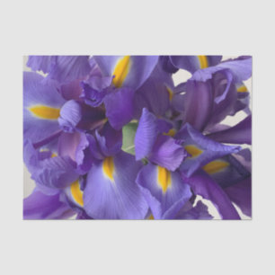 Dutch iris bouquet tissue paper