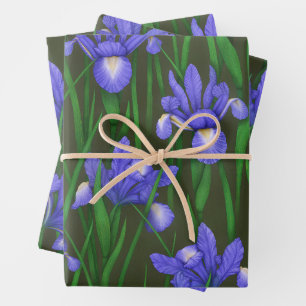 Dutch Iris Wrapping Paper Sheet