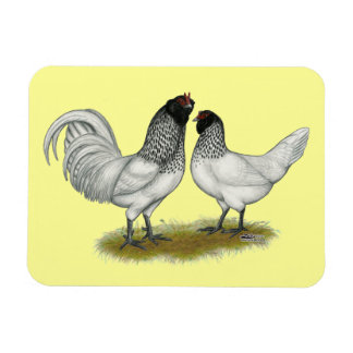 Dutch Owl Beard Chickens Magnet