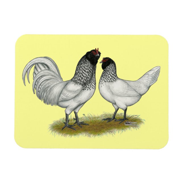 Dutch Owl Beard Chickens Magnet (Horizontal)
