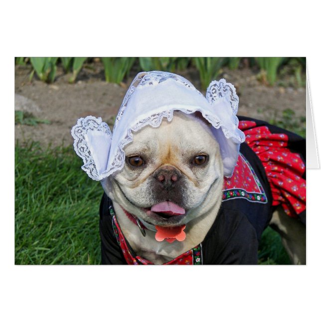 Dutch Pooch (Front Horizontal)