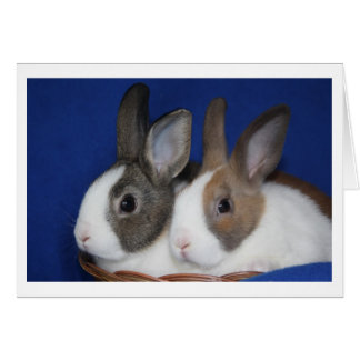Dutch Rabbit Blank Card