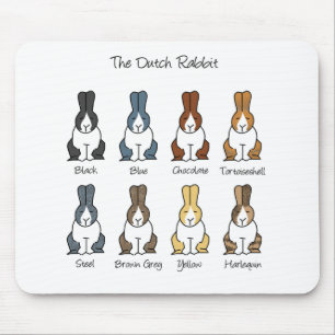Dutch Rabbit Colours Mouse Pad