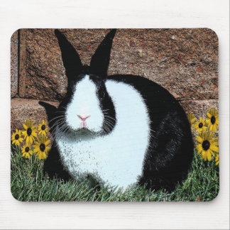 Dutch rabbit digital artwork mousepad