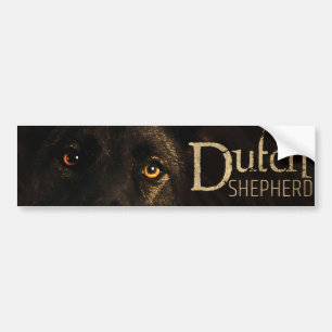 Dutch Shepherd Dog - Dutchie Bumper Sticker