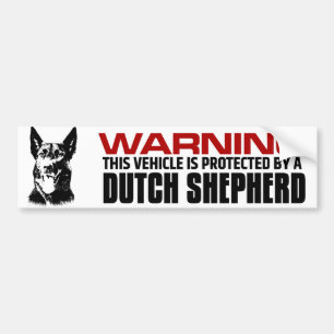 Dutch Shepherd Dog - Dutchie Bumper Sticker