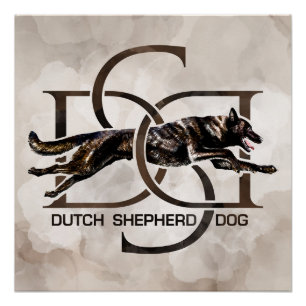 Dutch Shepherd - Dutchie Illustration Poster