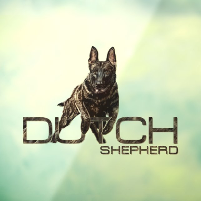 Dutch Shepherd -Hollandse Herdershond  (Sheet 3)