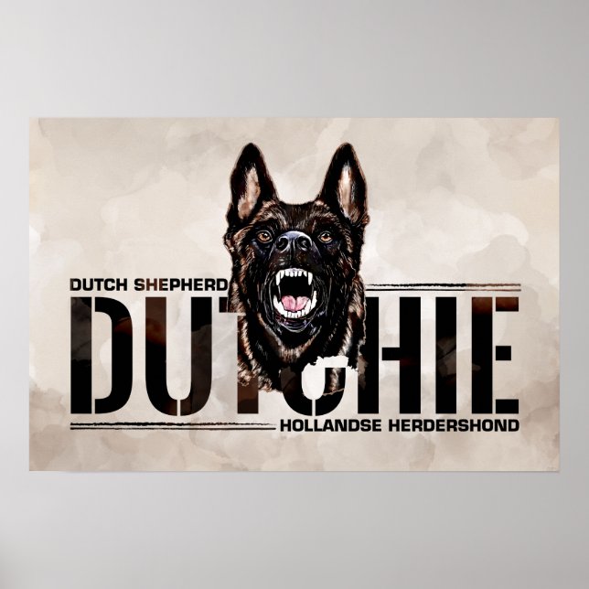 Dutch Shepherd -Hollandse Herdershond  Poster (Front)