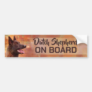 Dutch Shepherd on Board Bumper Sticker