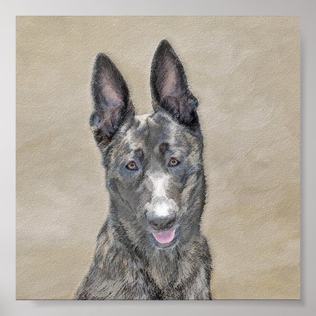 Dutch Shepherd Painting - Cute Original Dog Art Poster (Front)