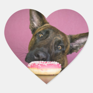Dutch shepherd versus donut heart sticker