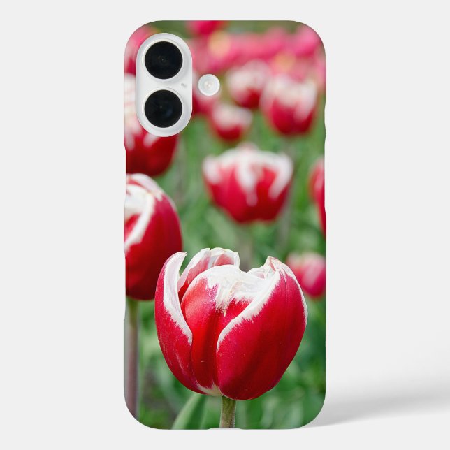 Dutch Tulip Garden Case-Mate iPhone Case (Back)