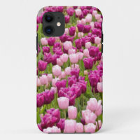 Dutch Tulips
