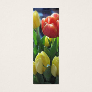 Dutch Tulips Holland Bookmark Photo Art