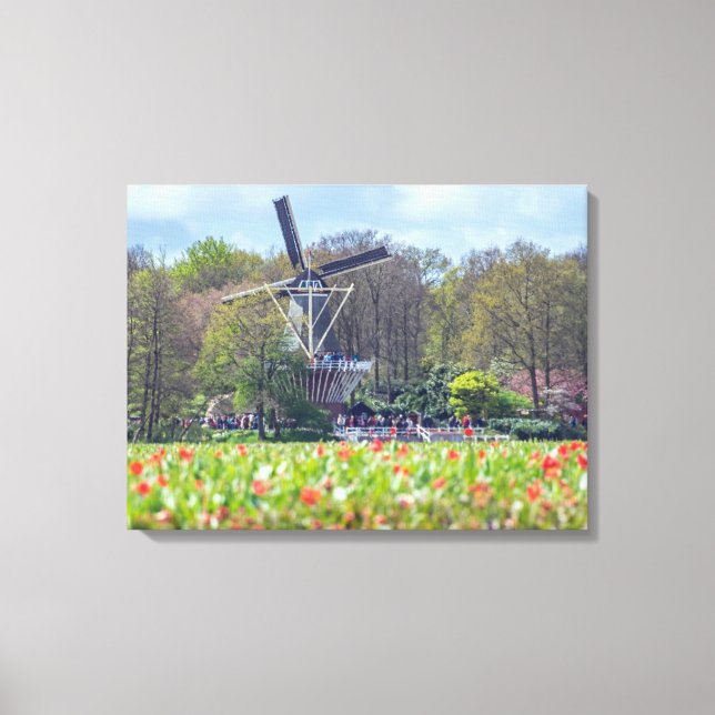 Dutch windmill and tulip fields canvas print (Front)