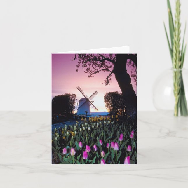 Dutch Windmill at Sunset in Holland Notecards (Front)