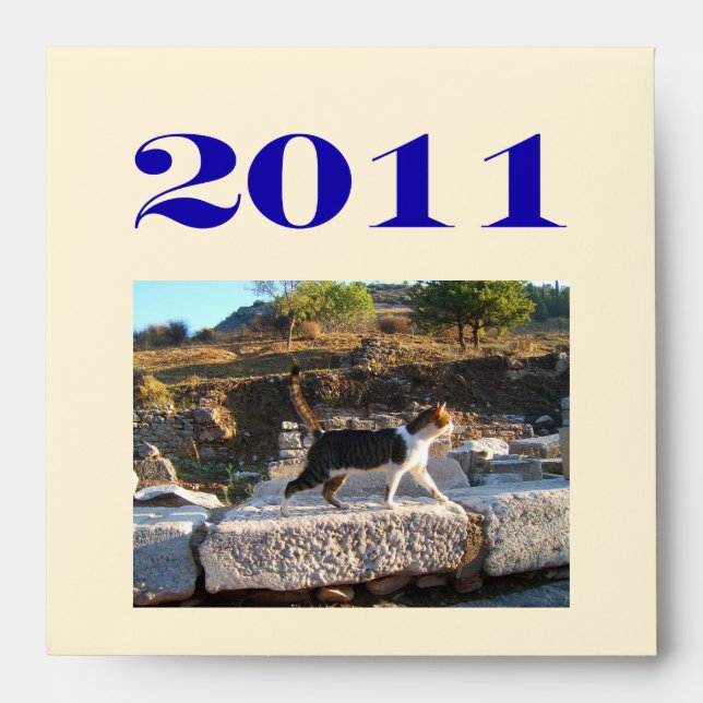 DVD or CD sized Envelope (Front)