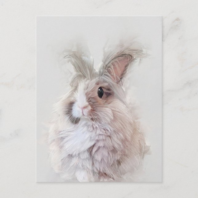 Dwarf Angora Rabbit Wildlife Portrait Postcard (Front)