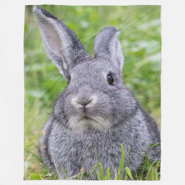Dwarf bunny rabbit fleece blanket (Front)