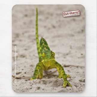 Dwarf Chameleon Mouse Pad