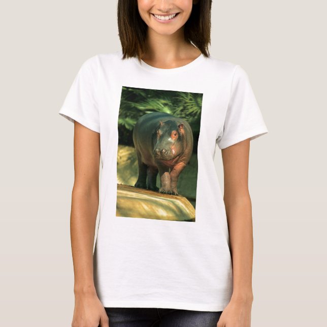 Dwarf (Choeropsis liberiensis) T-Shirt (Front)