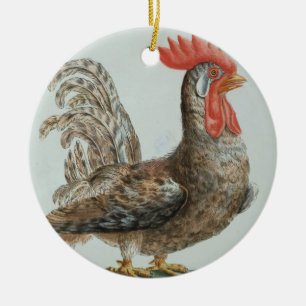 Dwarf Cockerel, c.1767-76 (hand coloured engraving Ceramic Tree Decoration