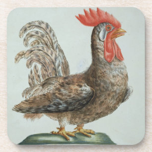Dwarf Cockerel, c.1767-76 (hand coloured engraving Coaster