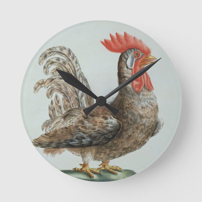 Dwarf Cockerel, c.1767-76 (hand coloured engraving Round Clock (Front)