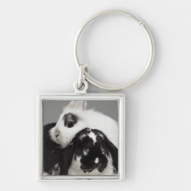 Dwarf-eared rabbit leaning over lop-eared key ring (Front)
