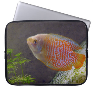 Dwarf Gourami Fish Laptop Sleeve
