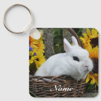 Dwarf Hotot Bunny Rabbit with Sunflowers