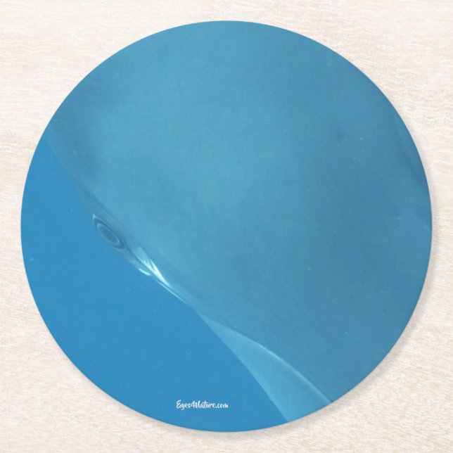 Dwarf Minke Eye Round Paper Coaster (Front)