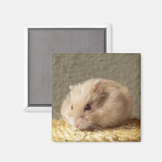 Dwarf Russian Hamster with Full Cheeks Magnet (Front/Back)