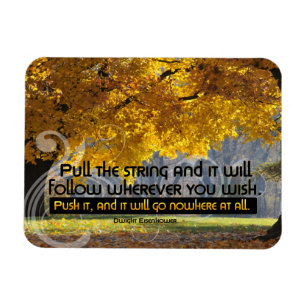 Dwight D. Eisenhower Inspirational Quote "Push it" Magnet
