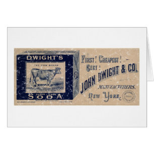 Dwight's Soda-1879 - distressed