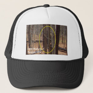 DWS Bigfoot Researchers hat